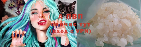 молекула духа Кинешма